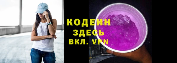 соль ск Дмитров