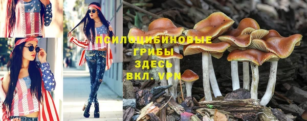 тгк Алексеевка