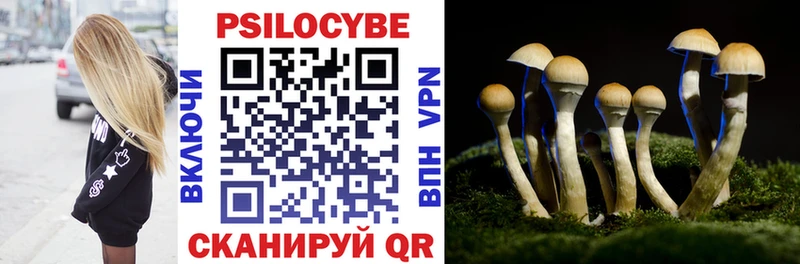 купить наркоту  Чкаловск  Галлюциногенные грибы Psilocybine cubensis 
