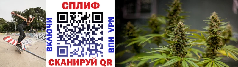 купить наркотик  Чкаловск  Шишки марихуана тримм 